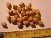 Чи можна розчинити каміння у жовчному міхурі можна