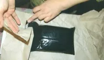 Бджолиний клуб клуб