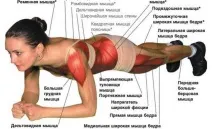 живіт