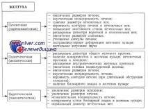 Показання для УЗД органів та судин черевної порожнини у гематології показання