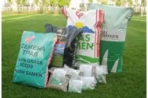 Посадка газону - правила та догляд догляд