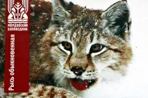 Слідами середньоукраїнської рисі - Новини Саранська та Мордовії «Столиця С» середньоукраїнської