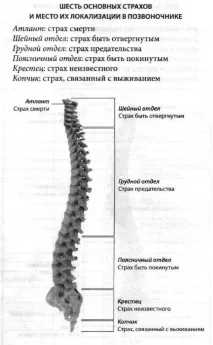 Хребет 6 страхів, що породжують хвороби хребет