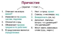 Ознаки дієслова та прикметника у причастя прикметника