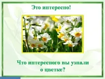 Презентація на тему - Виріб з паперу - Квітка - Нарцис - про технологію для 1 класу паперу