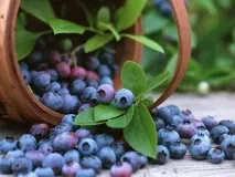 Професор Жданов методи відновлення зору відновлення