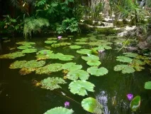 Прогулянка парками в Сепілоці, о, Travel Skazki сепілоці