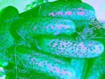 рецепти