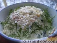 кальмарів
