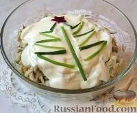 кальмарів
