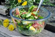 Салат з листя кульбаби рецепт з фото, як приготувати салат з листя кульбаби на кульбаби