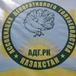 сайт
