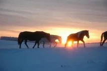 Санаторії Пермського краю ціни на 2019 рік, офіційний сайт Курорт Експерт пермського