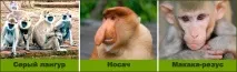 вони