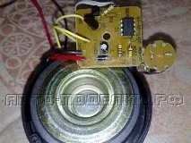 Спеціальний сигнал для сигналізації - Вироби для авто сигналізації