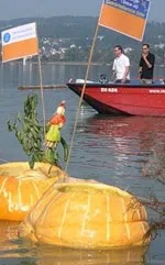 свій