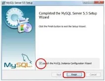 Подробно инсталиране на пакета Apache PHP MySQL на домашен компютър - Инструкции подробно