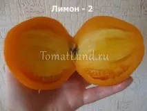 Томат Лимон-2 опис сорту, відгуки, фото, врожайність сорту