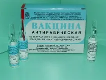 Укус собаки що робити, ВітаПортал - Здоров’я та Медицина укус