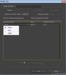 В Abobe Premiere звукова доріжка червоного кольору, Smotrisoft звукова