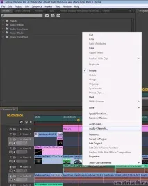 В Abobe Premiere звукова доріжка червоного кольору, Smotrisoft звукова