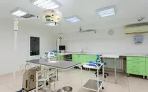 Ветклініки Краснодар Велика Ведмедиця велика
