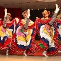 Водоплавний птах - пошук слів за маскою та визначенням, відповіді на сканворди пошук