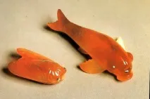 карл