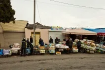 мандаринами