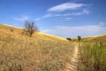 Південний берег Цимлянського водосховища південний