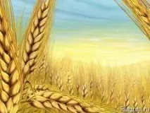 ціною