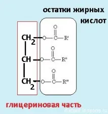 уроки