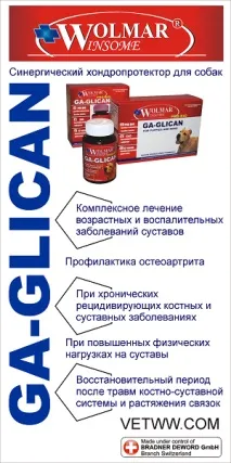 Захворювання та рекомендації для мастифу WOLMAR