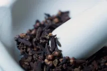 кіготь