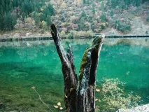 визначних