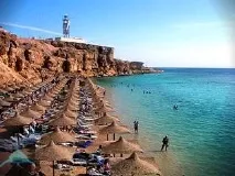 Акули у Червоному морі акули