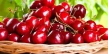 Вирощування суниці під плівковими укриттями суниці