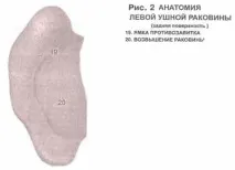 електропунктурна