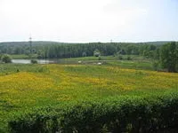 Бітцевський ліс - це парку