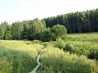 Бітцевський ліс - це Бітцевський