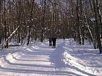 Бітцевський ліс - це Бітцевський