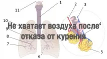 очищення