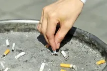 днях