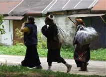 цигани