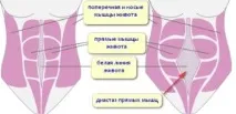 Діастаз живота після пологів що це таке та методи боротьби з ним діастаз