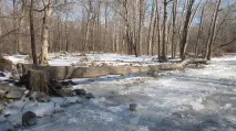 Дитячий картинг у Примор’ї гроші, гонки, амбіції дитячий