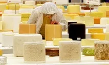 Його величність сир якотримують, чим корисний, рецепти страв, Журнал - Фармацевт Практик якотримують