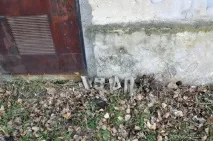 Дзинь-дзинь - За державу прикро! Національний архів занедбаної спадщини СРСР дзинь-дзинь