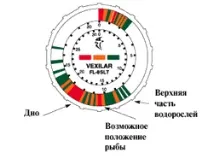 запознаване