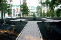 Міське озеленення та благоустрій міське